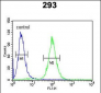 SPB3 Antibody (N-term)