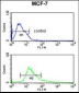 CTNA1 Antibody (N-term)