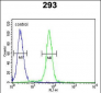 c-fos Antibody (C-term)