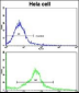 CREB3L1 Antibody (C-term)