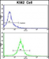 CFHL1 Antibody (C-term)