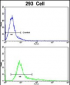 TIEG2 Antibody (N-term)