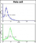 EIF3H Antibody (C-term)