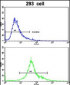 EMILIN1 Antibody (N-term)