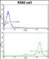 MTBP Antibody (C-term)