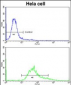 PDIA6 Antibody (Center K159)