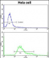 PDIA6 Antibody (Center D251)