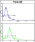 PID/MTA2 Antibody (C-term)