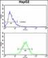 SPCS3 Antibody (C-term)