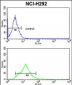 TAGLN Antibody (C-term)