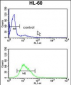 RAN Antibody (N-term)