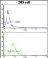 HOXA5 Antibody (C-term E211)