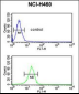 FKBP10 Antibody (N-term)