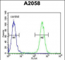 FKBP10 Antibody (C-term)