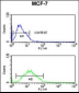 FKBP4 Antibody (Center)