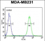 FKBP1A Antibody (C-term)