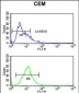 KRT10 Antibody (Center)