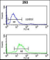 LRG1 Antibody (Center)