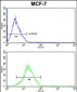 KRT13 Antibody (N-term)