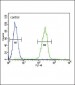 SERPINA7 Antibody (C-term)