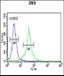 DCD Antibody (C-term)