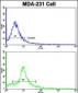 NUP62 Antibody (C-term E507)