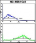 ACK1 Antibody (N-term)