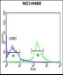 EIF3S5 Antibody (N-term)