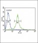 IL1RN Antibody (Center)