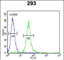 M-CSF Antibody (Center)