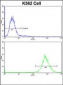 P4HB Antibody (C-term)
