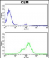 TPI1 Antibody (C-term)