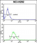 PDIA3 Antibody (C-term)