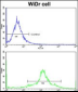 PDIA3 Antibody (Center)