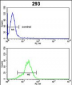 PRDX1 Antibody (Center)