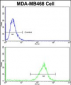 PRDX3 Antibody (N-term)