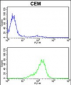 PRDX6 Antibody (C-term)