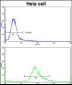 PHGDH Antibody (N-term)