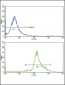 PPIA Antibody (N-term)