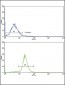 ARPC1A Antibody (C-term)