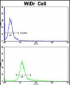 CTDP1 Antibody (N-term)