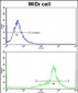 IGFBP6 Antibody (C-term)