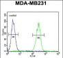 CRHR2 Antibody (Center)