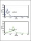 EDNRB Antibody (C-term)