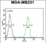 HPGD Antibody (C-term)