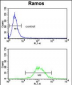 HLA-DRA Antibody (N-term)