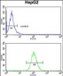 TF Antibody (C-term)