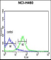 PRKACA Antibody (N-term K82)