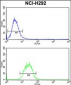 SNRPD2 Antibody (N-term)