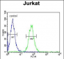 PTPN11 Antibody (C-term)